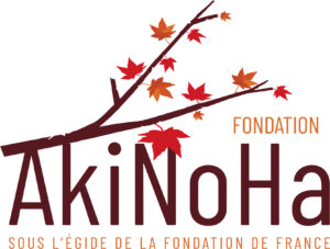 logo AkiNoHa Web